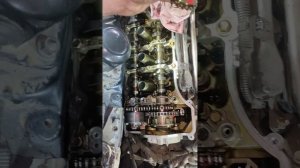 Lexus LS460 замена муфты vvti без съёма грм