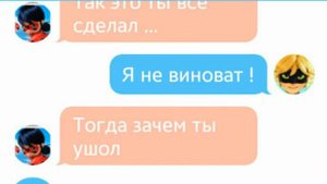 Переписка Леди Баг и Супер Кота