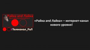 Прямой эфир и вещание интернет-канала "Райка and Лайка"
