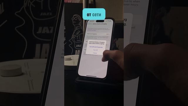 Как правильно ЗАРЯЖАТЬ IPhone? #apple #iphone #зарядбатареи