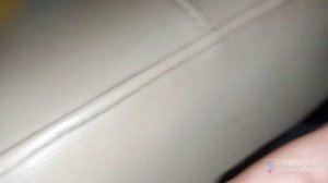 Angry birds toons remastered: Ep41 T1 El porkador