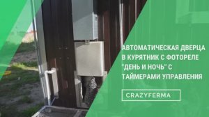 ОБЗОР АВТОДВЕРЦЫ В КУРЯТНИК с таймерами управления времени