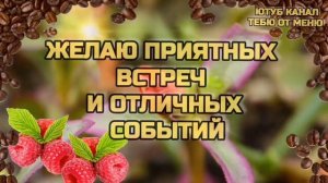 Красивое Пожелание Доброго Утра Хорошего Дня #сдобрымутром #доброеутро #открыткисдобрымутром