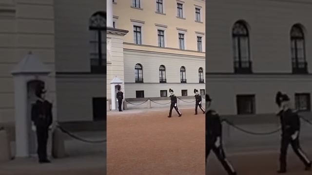 Norway Oslo royal palace guard Норвегия Осло королевский дворец гвардия נורבגיה אוסלו