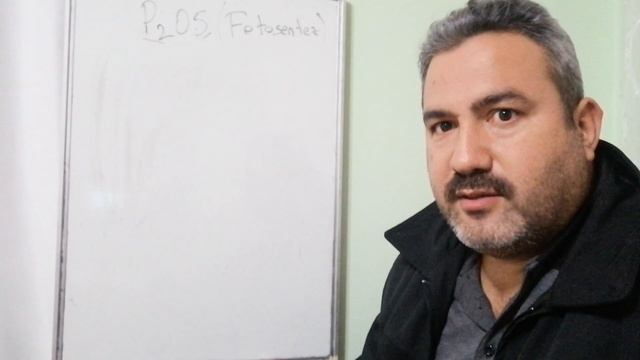 Fosfor, fosfor kaynakları, mikoriza mantar ve homeostatik etki смотреть онлайн