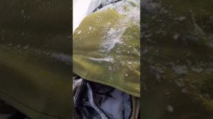 мотобуксировщик Flaizer