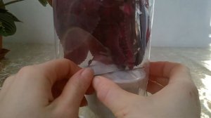 Упаковка комнатных растений для пересылки и транспортировки