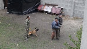 Охрана дачи служебной собакой.