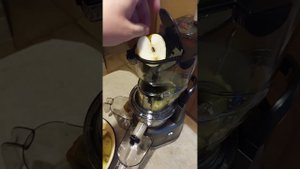 Шнековая соковыжималка Wollmer J310 Extra Fresh