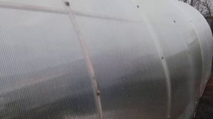 Поликарбонат Актуаль Био 2021