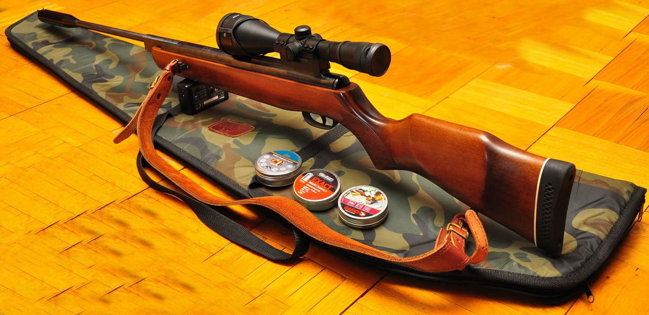 Гамо хантер dx. Винтовка гамо хантер 1250. Гамо хантер. Пневматическая винтовка gamo hunter. Винтовка gamo hunter.