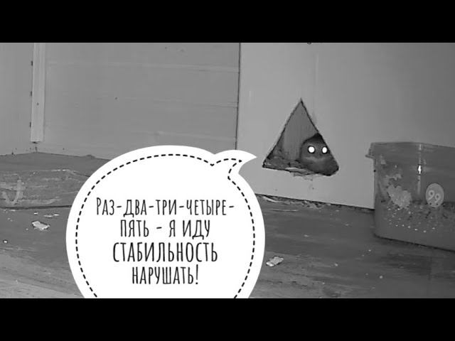 Стабильно нестабильная Кутуша - квантовый объект. Сова принципа квантового наблюдения