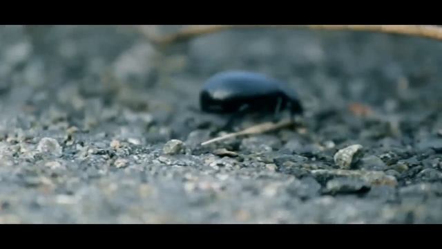 Canon 1200d Review 2017 | EF-S 18-55 & 55-250 zoom Lens смотреть онлайн