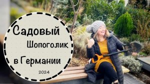 Рассматриваем почвопокровные☘️ Пузыреплодники☘️Выбираем многолетники☘️ Садовый зыринг #2