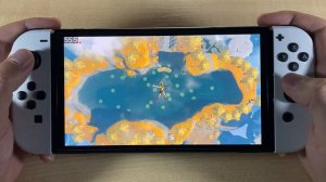 Zelda: Tears of the Kingdom - 60 FPS | Nintendo Switch Oled Gameplay
