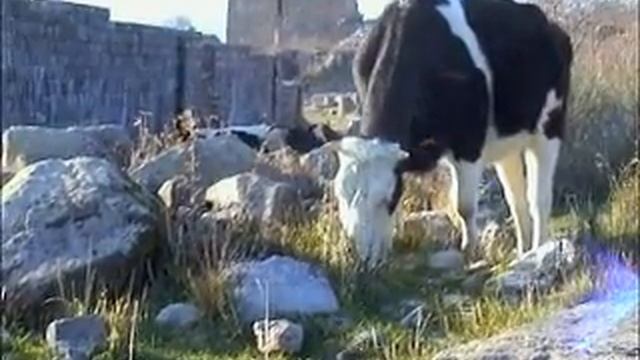 Пергама - древний город античной Греции в Турции, кинозарисовка смотреть онлайн