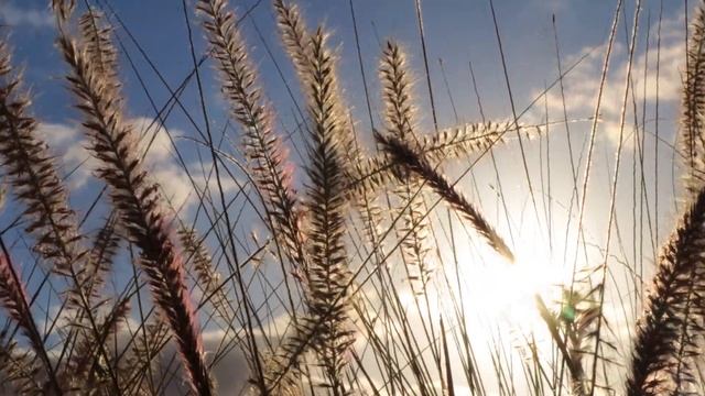 Медитация (КРАЙОН) - Освобождение от страха смерти смотреть онлайн