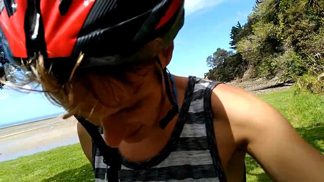 Парк на Cornwallis beach. Местная флора и фауна / Окленд смотреть онлайн