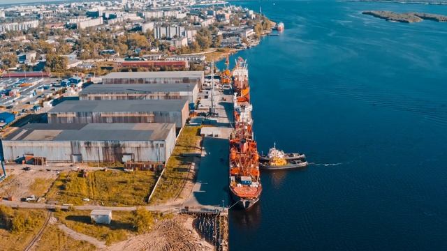 Российские ученые отправились изучать арктического «морского единорога» смотреть онлайн