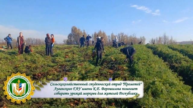 Новости недели ФГБОУ ВО ЛГАУ имени К.Е. Ворошилова, N°47 смотреть онлайн