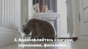 Советы по выбору имени для шотландского вислоухого котенка