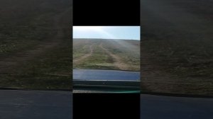 Красивая, ну Очень Красивая Меча.