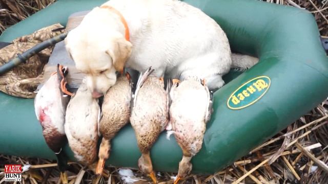 Охота и мини-лодка Инзер 170 (УФА) весом 5 кг.Спрашивали.... смотреть онлайн