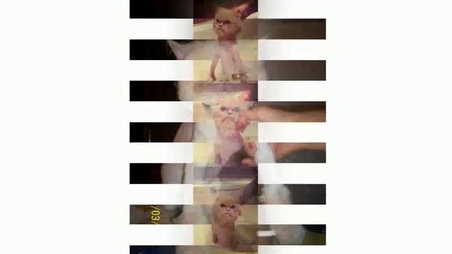 Прикольные Стрижки смотреть онлайн