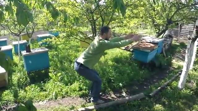 Приседания: Упражнение для укрепления мышц поясничного отдела смотреть онлайн