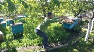 Приседания:  Упражнение для укрепления мышц поясничного отдела