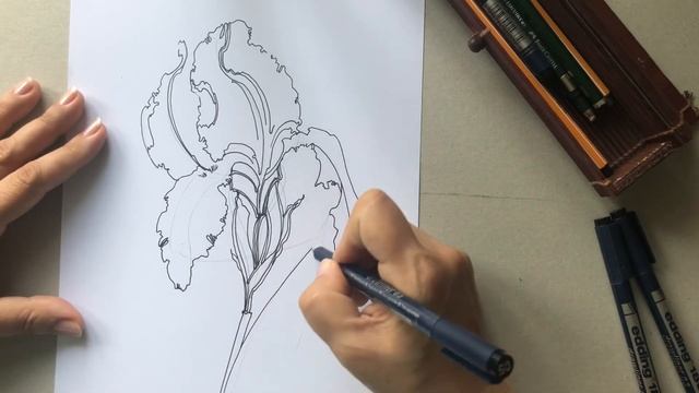 Урок N2. Рисуем ирис. смотреть онлайн