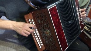 Гармонь ми мажор