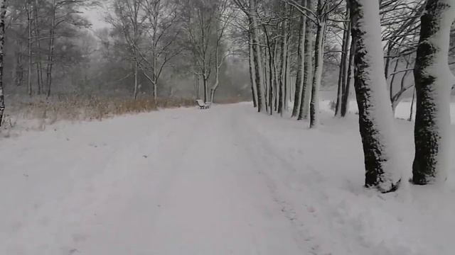 Петергоф. И к нам пришла зима. смотреть онлайн