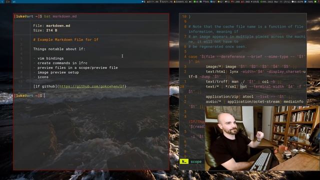 LF: File browsing, Image Previews written in Golang смотреть онлайн
