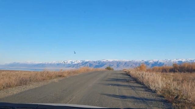 Самарские Куропатки дорога на Васильевскую переправу Восточный Казахстан смотреть онлайн