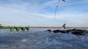 РЫБАЛКА НА РОТАНА ПЕРВЫЙ ЛЕД ЛОВИМ РОТАНА РУКАМИ И НА МОРМЫШКУ!