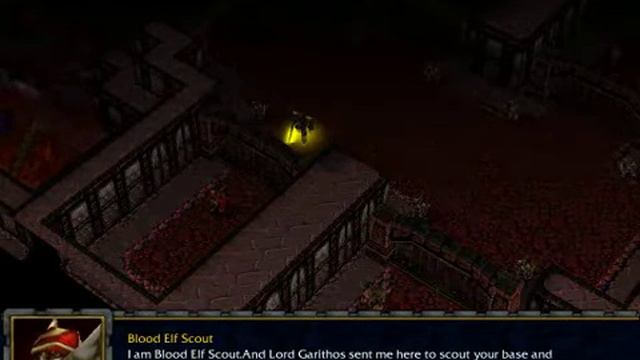 Warcraft 3 Campaign Lord Garithos Story - King With The Lordaeron Intro