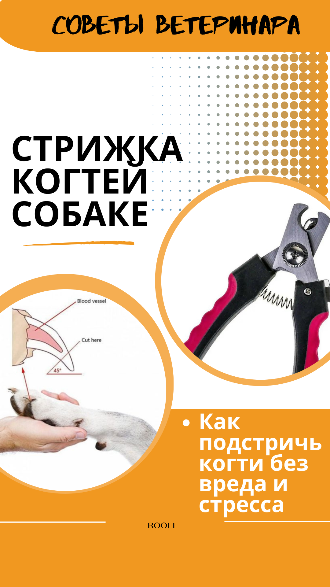 Стрижка когтей собаке. Как подстричь когти без вреда и стресса питомцу.