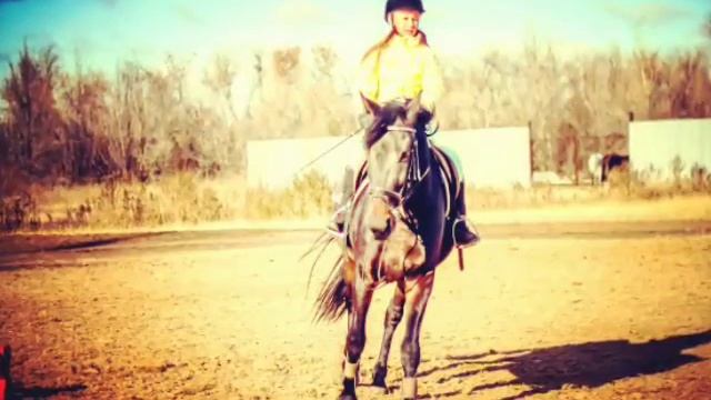 Самый лучший конь Тайгер ♡♥ смотреть онлайн