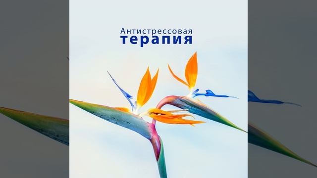 Доза расслабления смотреть онлайн