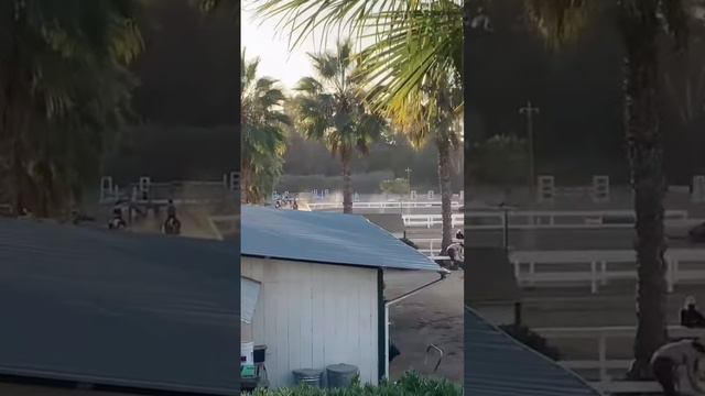 Лошади  сша калифорния лошади конники конюшня