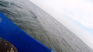 Рыбалка ? на бортовые удочки!!! Озеро Плещеево!!!