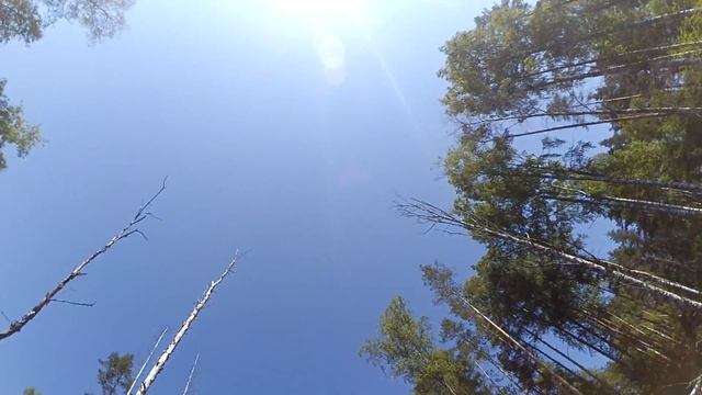 река Волчья на байдарке. 79км - 79км. смотреть онлайн