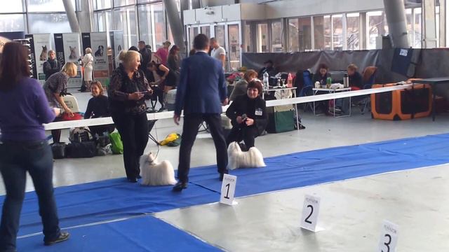 Сравнение на ВОВ. 30 ноября 2013 года. 2хСАС. смотреть онлайн