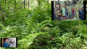 ШАЦК - ГОРОД КАЗАЧЬЕЙ СЛАВЫ.