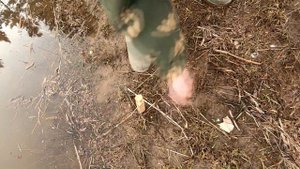 Примитивная снасть для ловли налима весной.