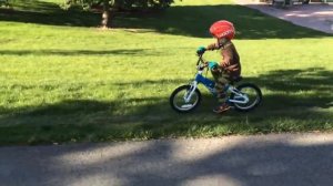 5 Reasons We Love Woom Kids Bikes (And You Will Too!)