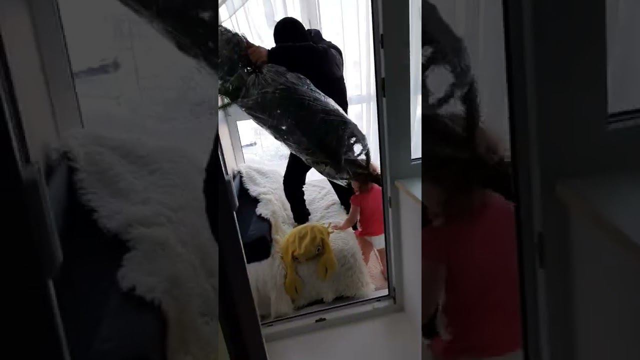 Убираем ёлочку 30 января 2022 смотреть онлайн