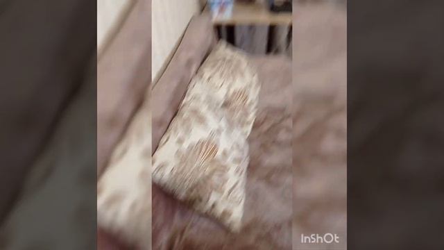 Продам 2х комнатную квартиру в шикарном месте Самары ? смотреть онлайн