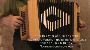 Полынь   трава с нотами в цифрах